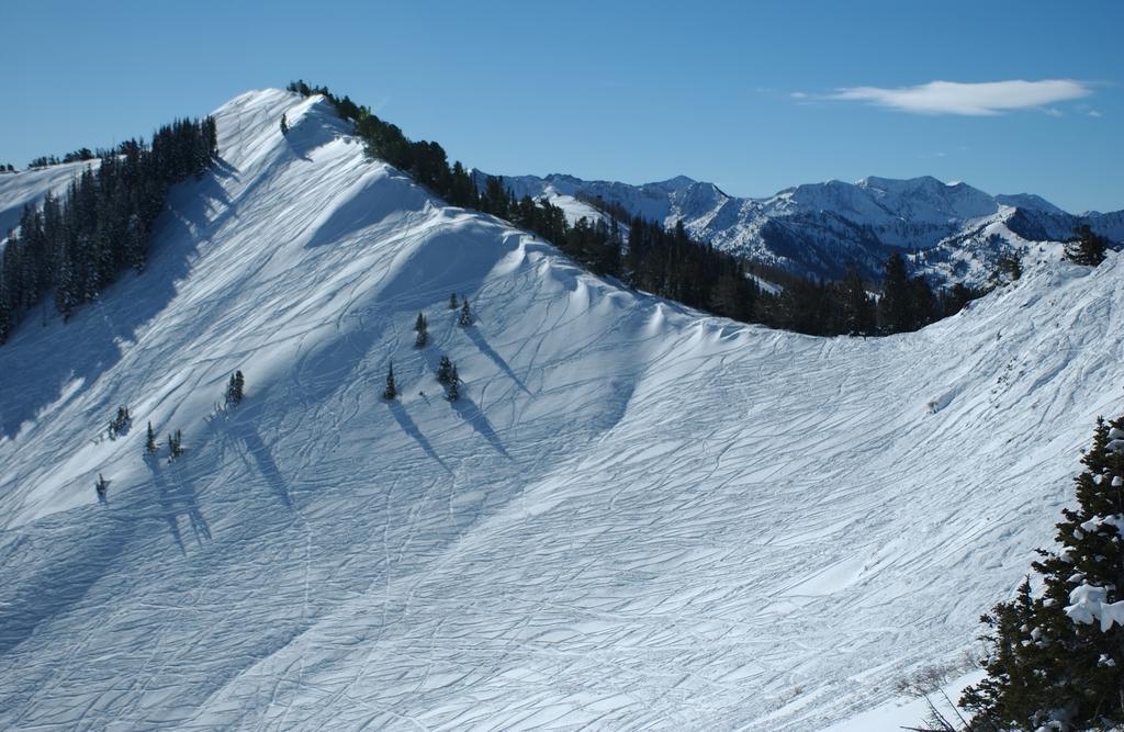 Raintree'S The Miners Club Park City Buitenkant foto